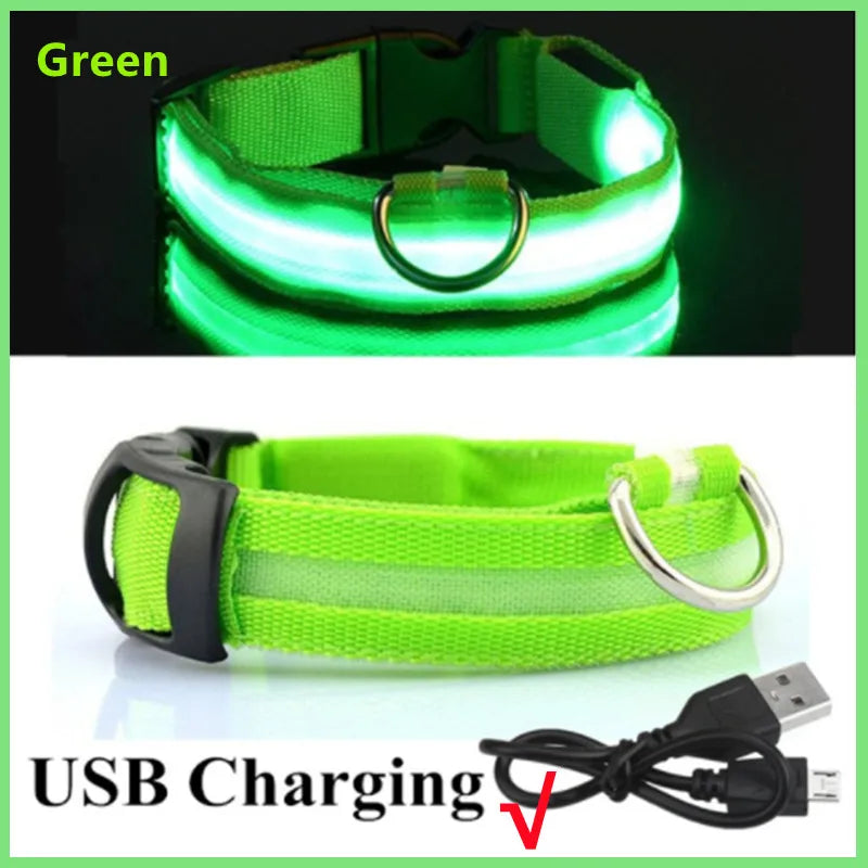 LED Glow Dog & Cat Collar – USB Rechargeable