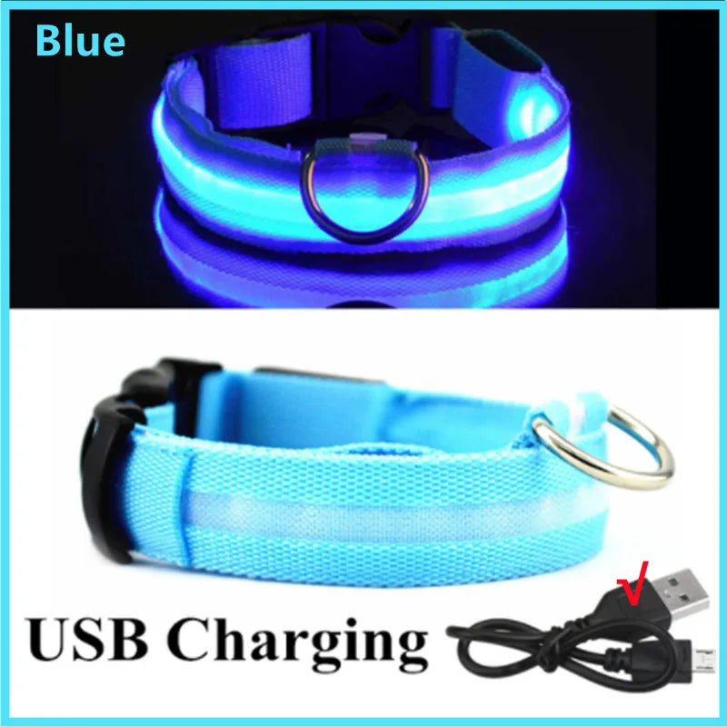 LED Glow Dog & Cat Collar – USB Rechargeable
