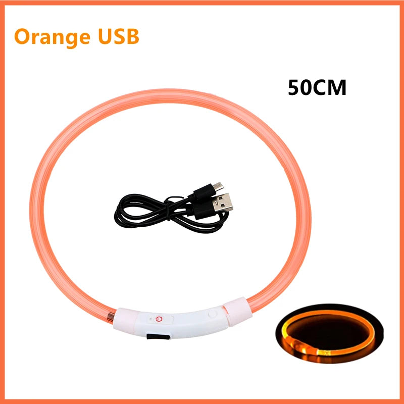 LED Glow Dog & Cat Collar – USB Rechargeable