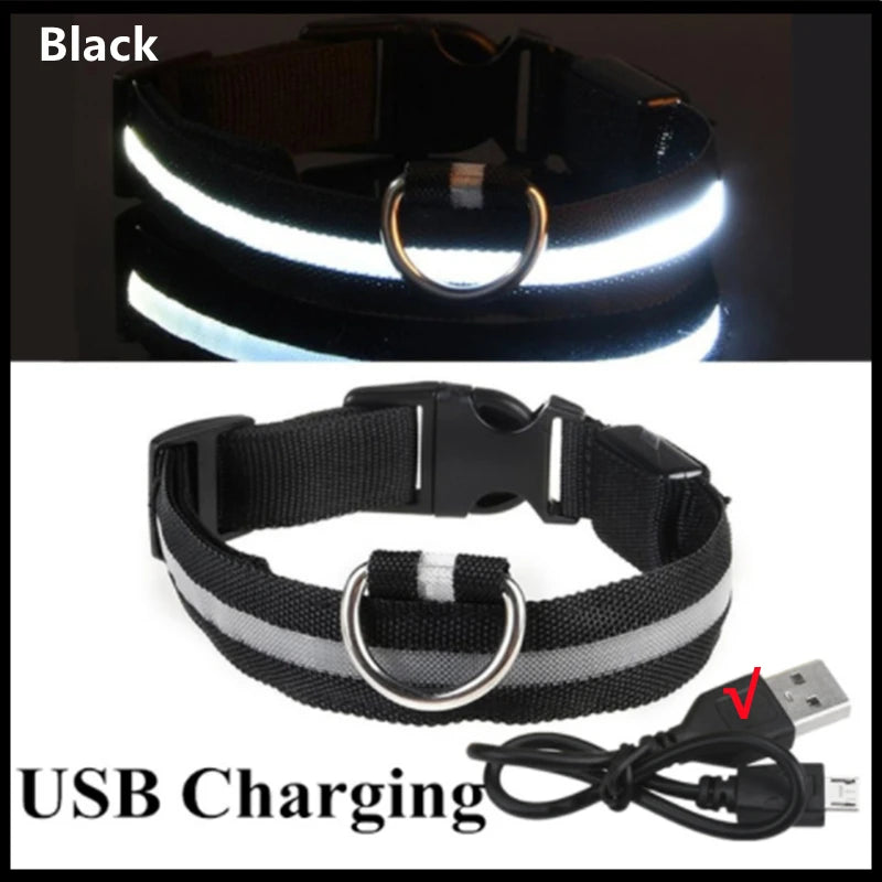 LED Glow Dog & Cat Collar – USB Rechargeable