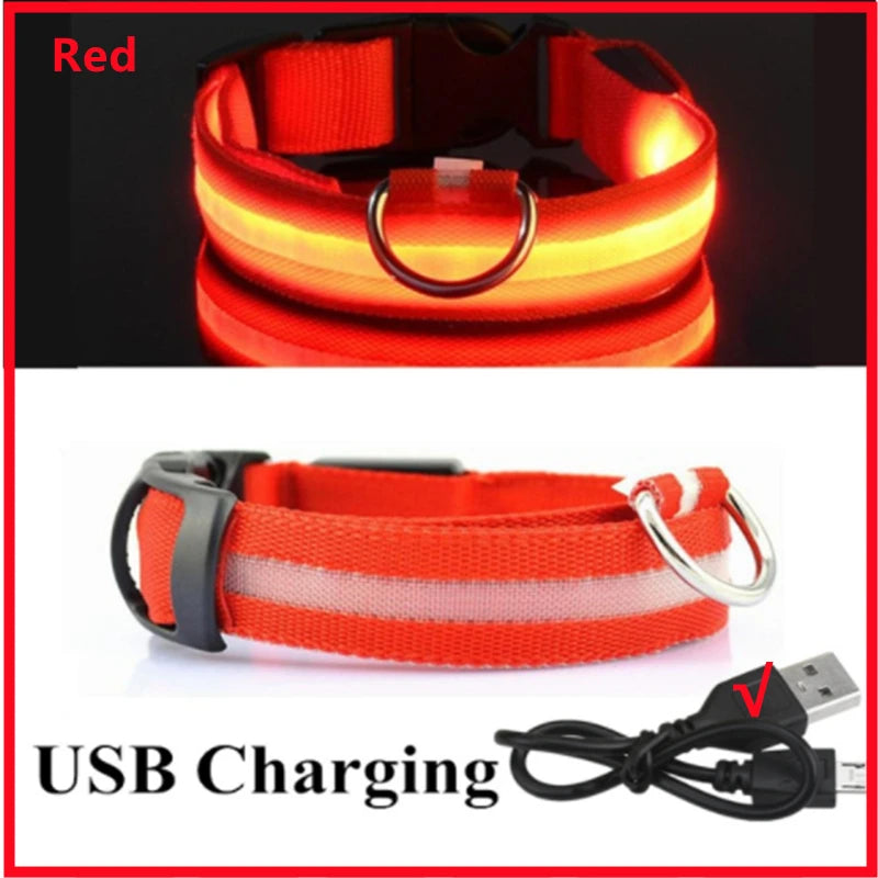 LED Glow Dog & Cat Collar – USB Rechargeable