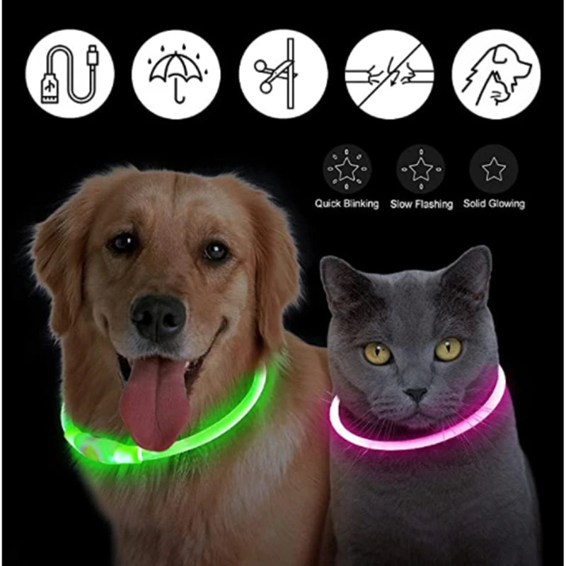 LED Glow Dog & Cat Collar – USB Rechargeable