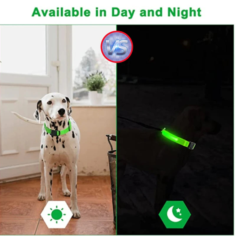 LED Glow Dog & Cat Collar – USB Rechargeable