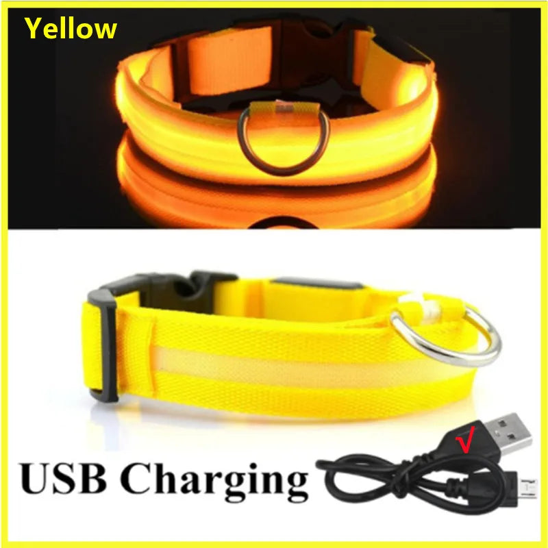 LED Glow Dog & Cat Collar – USB Rechargeable
