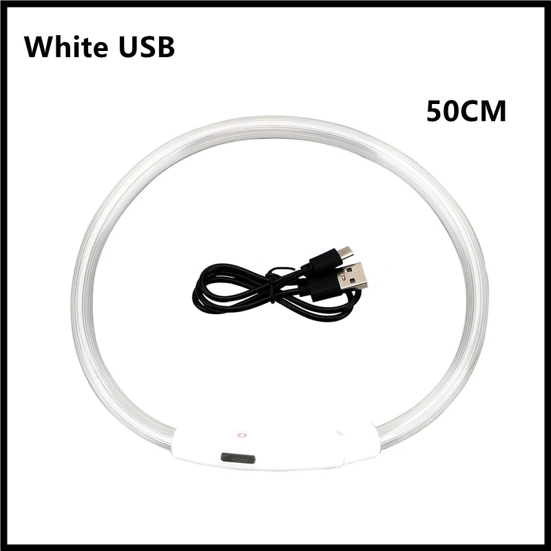 LED Glow Dog & Cat Collar – USB Rechargeable
