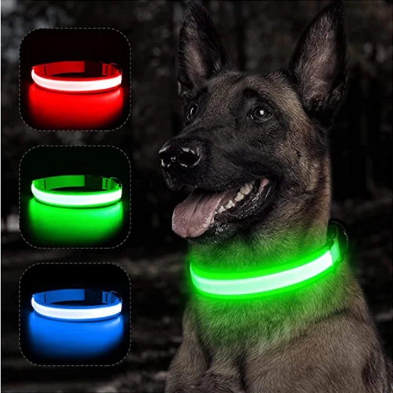 LED Glow Dog & Cat Collar – USB Rechargeable