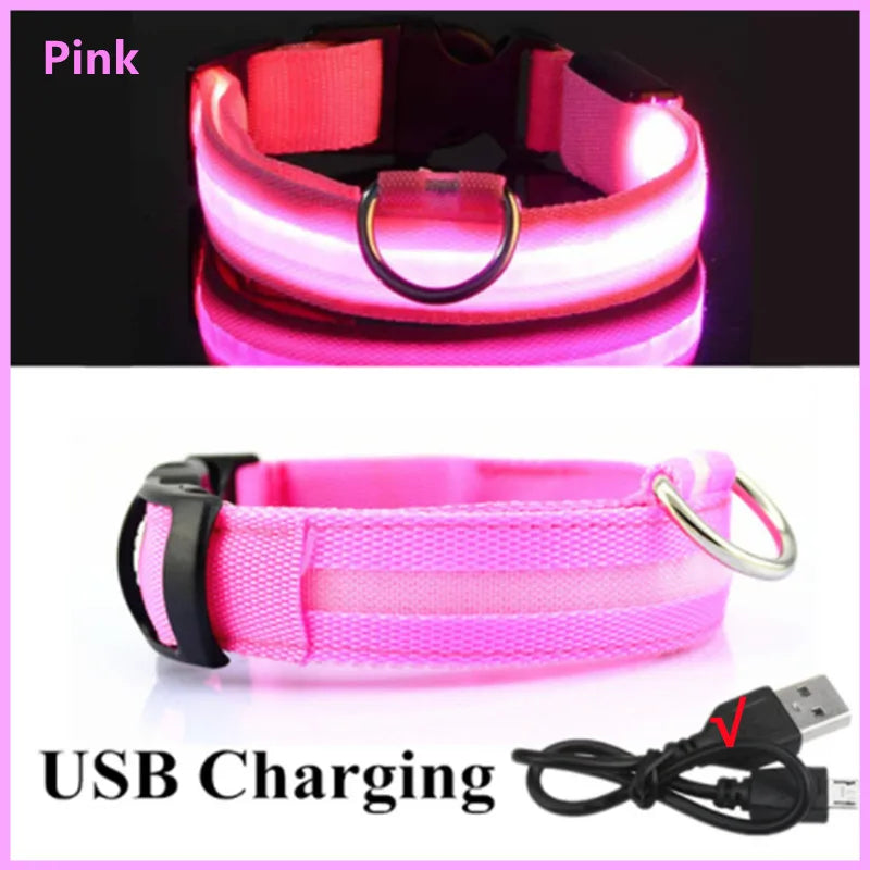 LED Glow Dog & Cat Collar – USB Rechargeable