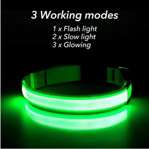 LED Glow Dog & Cat Collar – USB Rechargeable