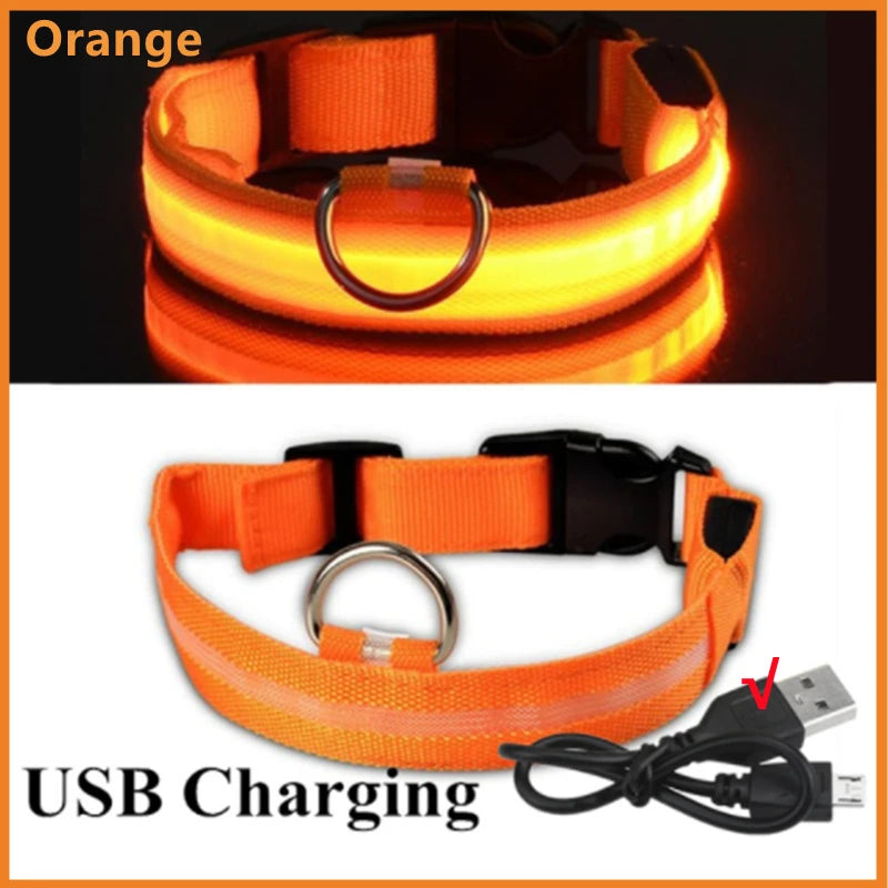 LED Glow Dog & Cat Collar – USB Rechargeable