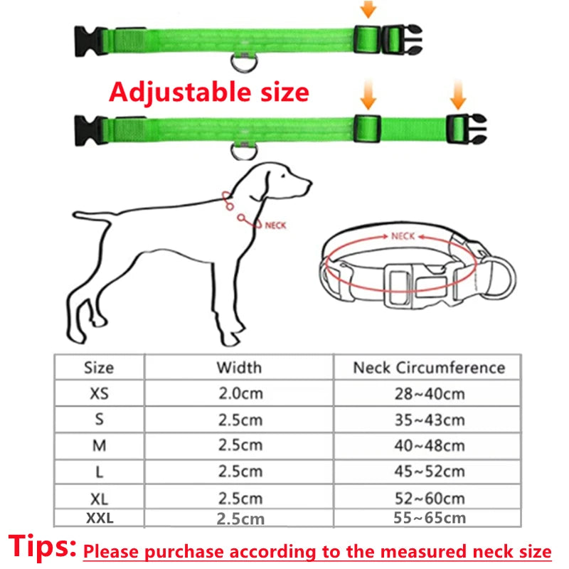 LED Glow Dog & Cat Collar – USB Rechargeable
